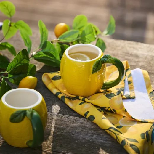 HOME & YOU HRNEK CITRON 500 ML