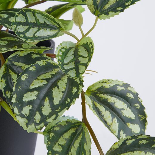 000000001000513310-1