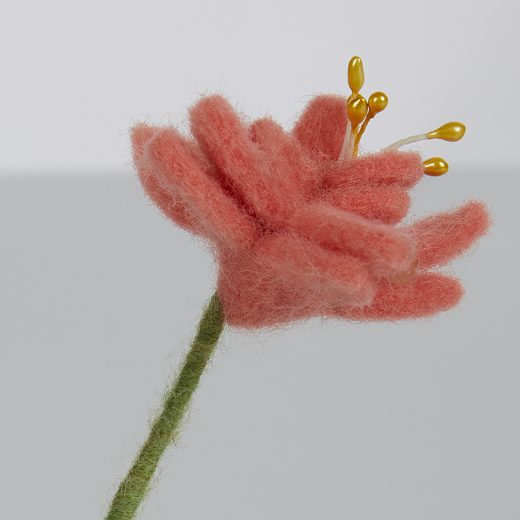 000000001000444851-4