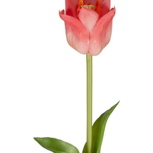 FLORISTA TULIPÁN 45 CM - RŮŽOVÁ