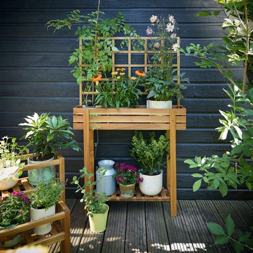 000000001000448820-1