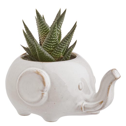 000000001000405705-5