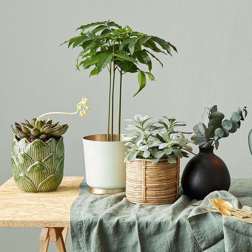 000000001000337859-2