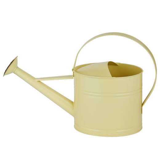 000000001000506369-1