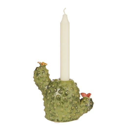 CACTUS SVÍCEN