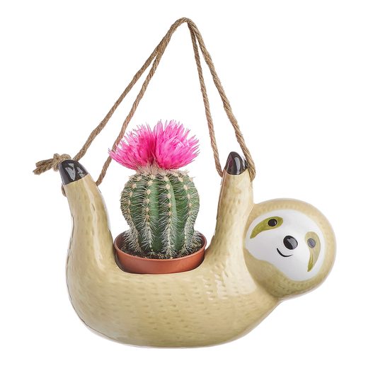 000000001000427146-1