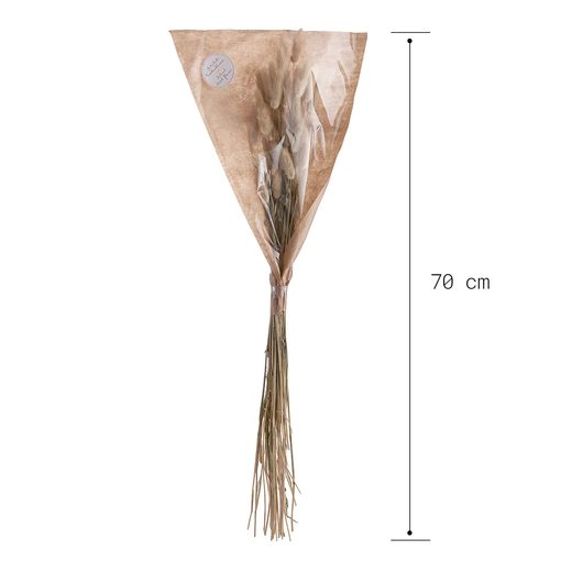 000000001000339876-3