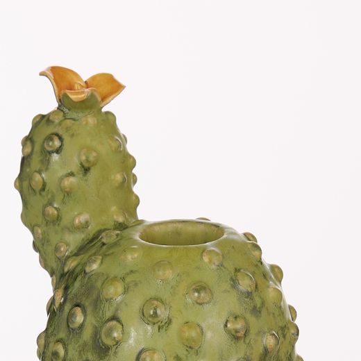 CACTUS SVÍCEN