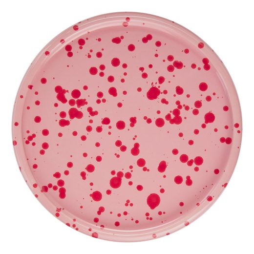 000000001000503764-2