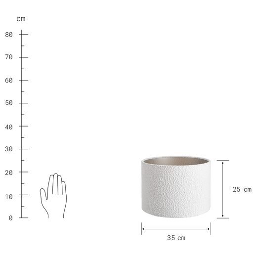 000000001000415027-5