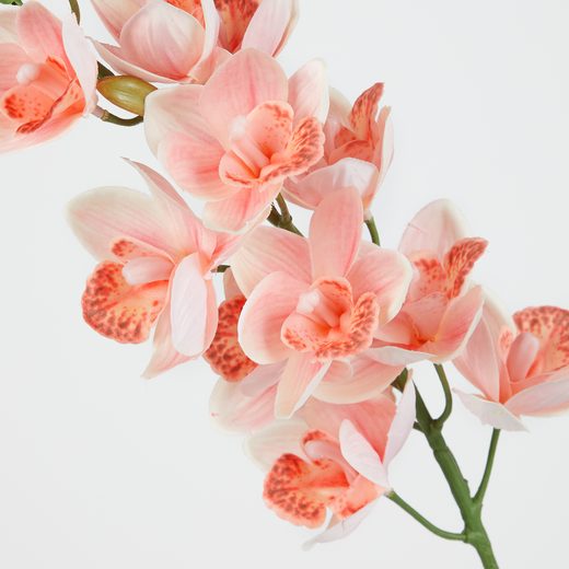 000000001000512737-1