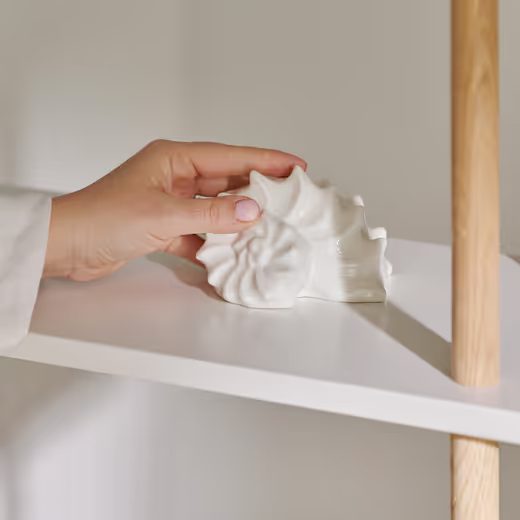 DEKORATIVNÍ MUŠLE HOME &AMP; YOU 14CM BÍLÁ