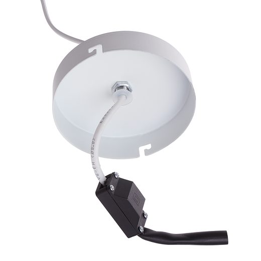 000000001000445091-12