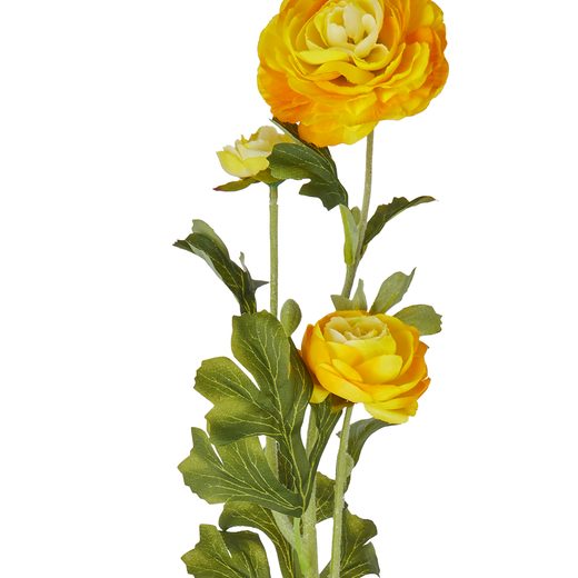 000000001000448206-1