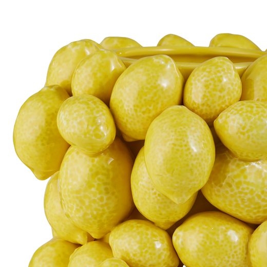 000000001000509910-4