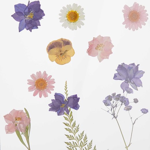 000000001000405687-3