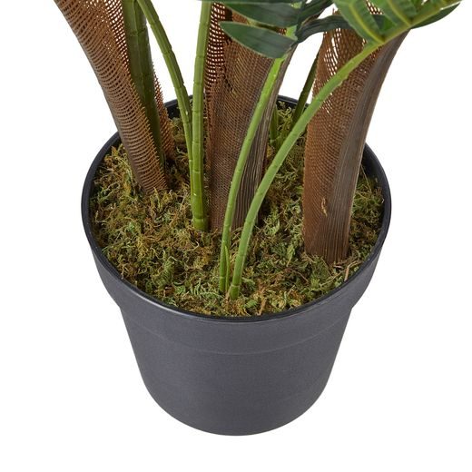 FLORISTA KAPRADÍ V KVĚTINÁČI 140 CM