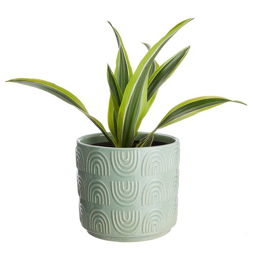 000000001000424879-1