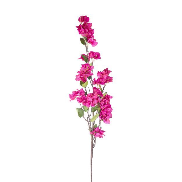 FLORISTA BOUGAINVILLEA 130 CM - SV. RŮŽOVÁ