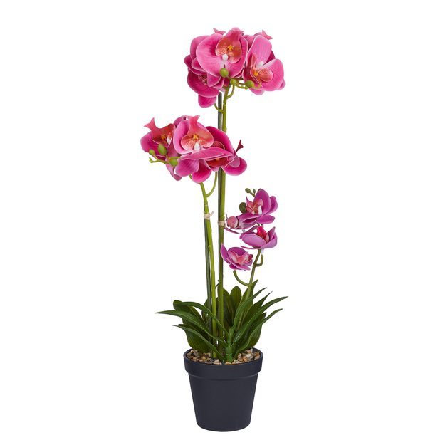FLORISTA ORCHIDEJ V KVĚTINÁČI 51 CM - RŮŽOVÁ