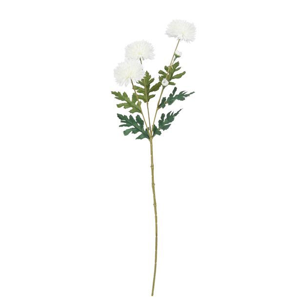 FLORISTA MINI CHRYZANTÉMA - BÍLÁ