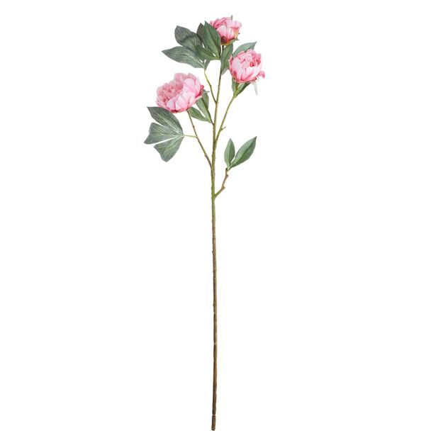 FLORISTA PIVOŇKA 90 CM - RŮŽOVÁ