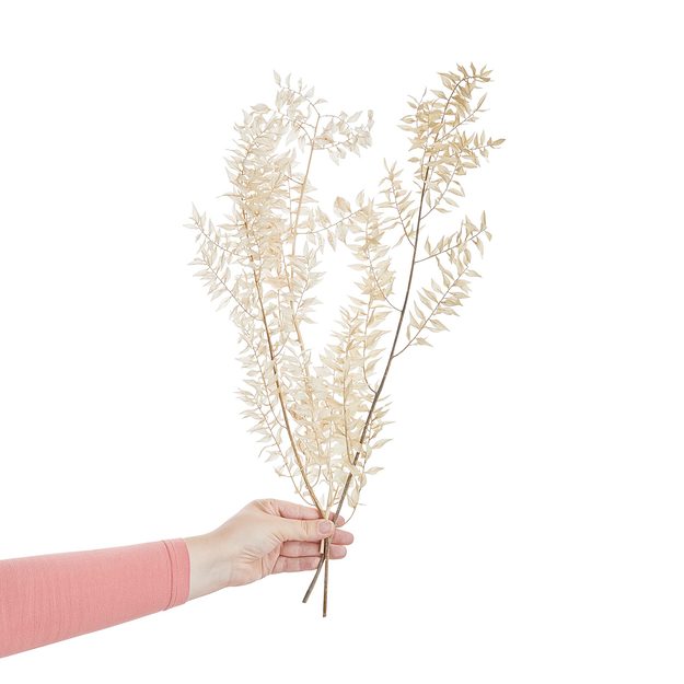 FLOWER MARKET RUSCUS BĚLENÝ 58 CM