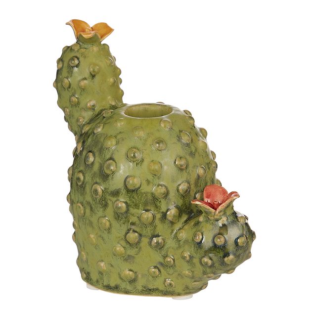 CACTUS SVÍCEN