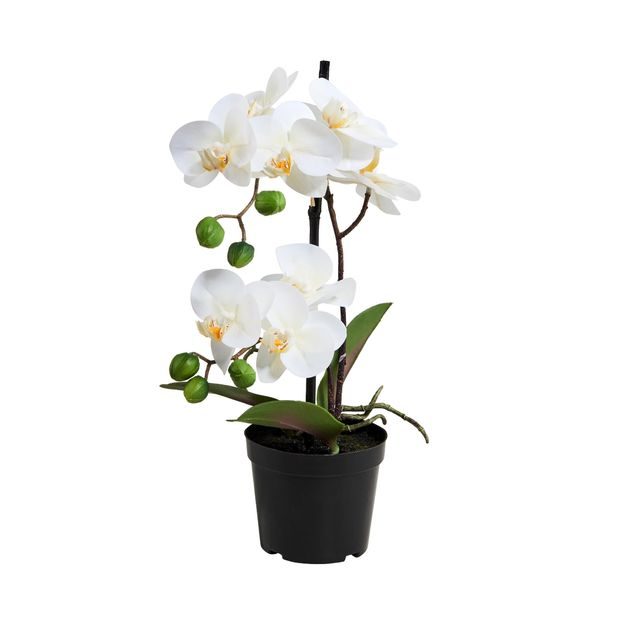 FLORISTA ORCHIDEJ V KVĚTINÁČI 35 CM - BÍLÁ