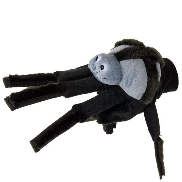 WILD GUYS MAŇÁSEK NA RUKU PAVOUK