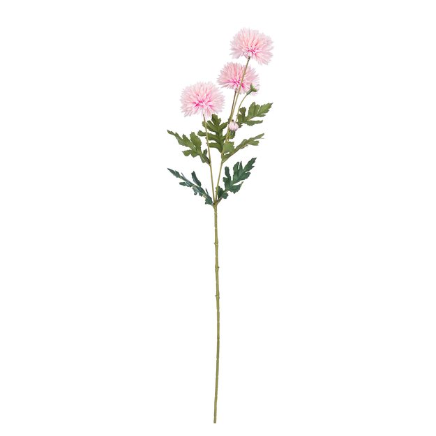 FLORISTA MINI CHRYZANTÉMA - SV. RŮŽOVÁ