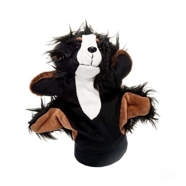 WILD GUYS MAŇÁSEK BERNSKÝ SALAŠNICKÝ PES