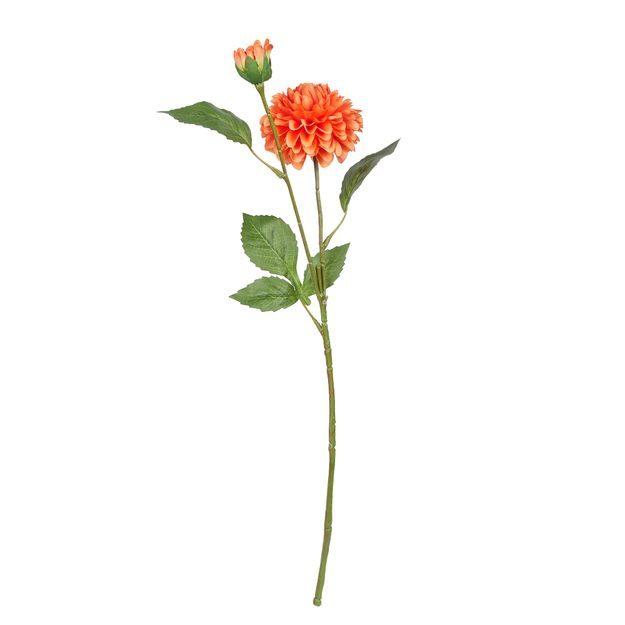 FLORISTA PIVOŇKA - ORANŽOVÁ