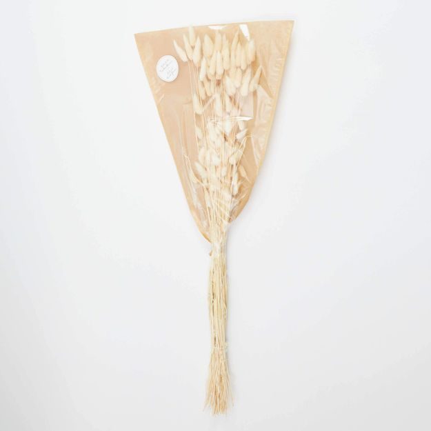 FLOWER MARKET SUŠENÁ TRÁVA "ZAJEČÍ OCÁSEK" - BĚLENÁ