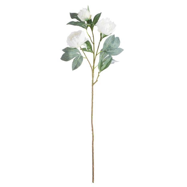 FLORISTA PIVOŇKA 90 CM - BÍLÁ