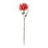 FLORISTA Jiřina 59 cm - červená