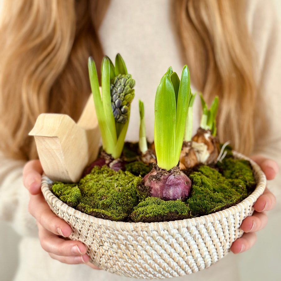 Jarní hyacintové variace