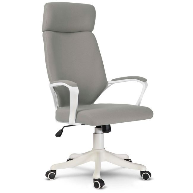 Kancelářská židle Nostro Plus, šedá
