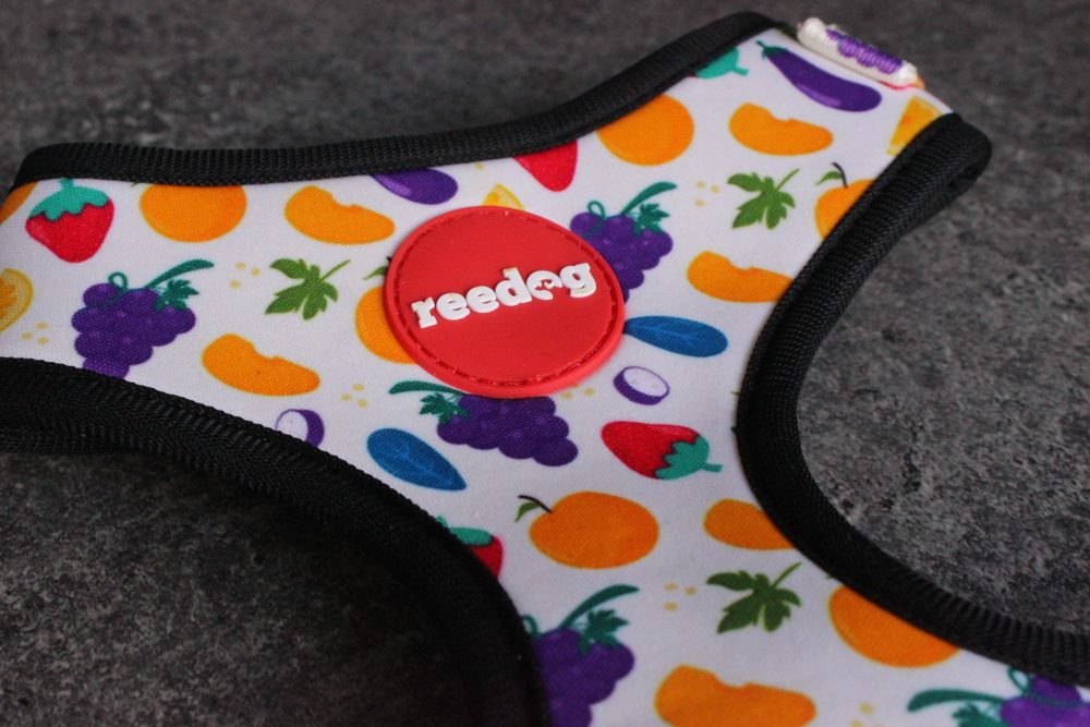 Reedog FRUIT | Szelki dla psa (zdjęcie 5)
