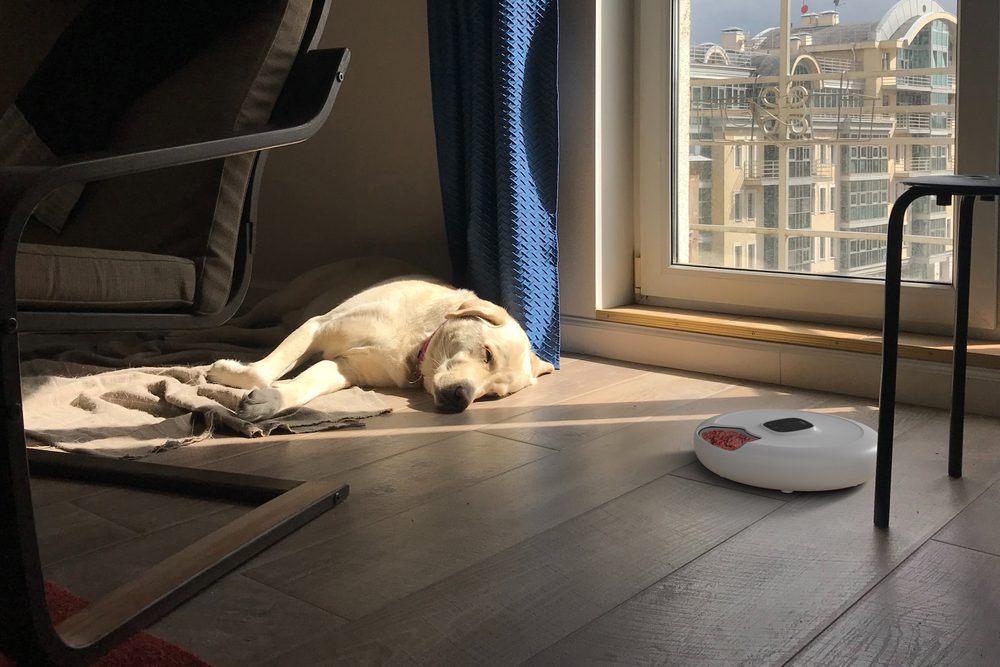 Petoneer NutriSpin Inteligentní dávkovač (zdjęcie 5)