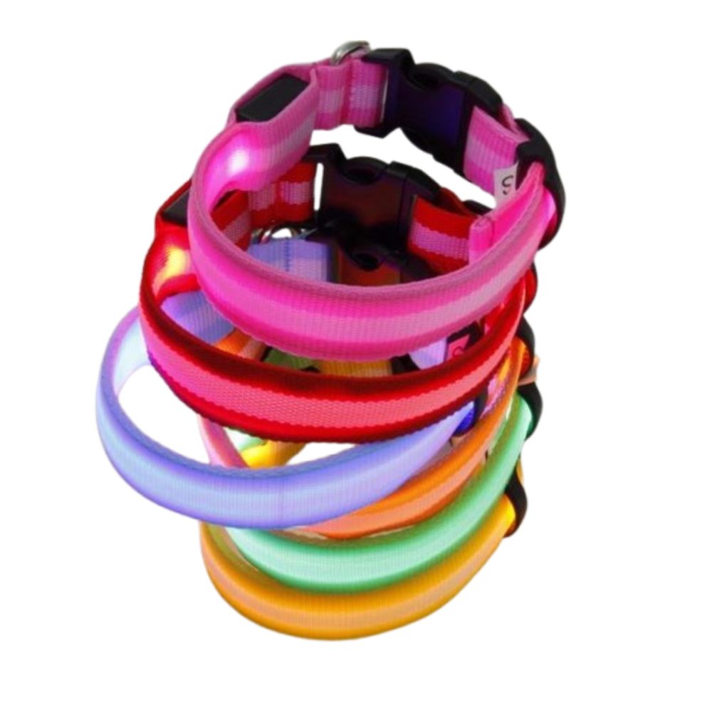 Reedog USB svíticí obojek pro psy a kočky NEW - žlutá - 40 - 48 cm