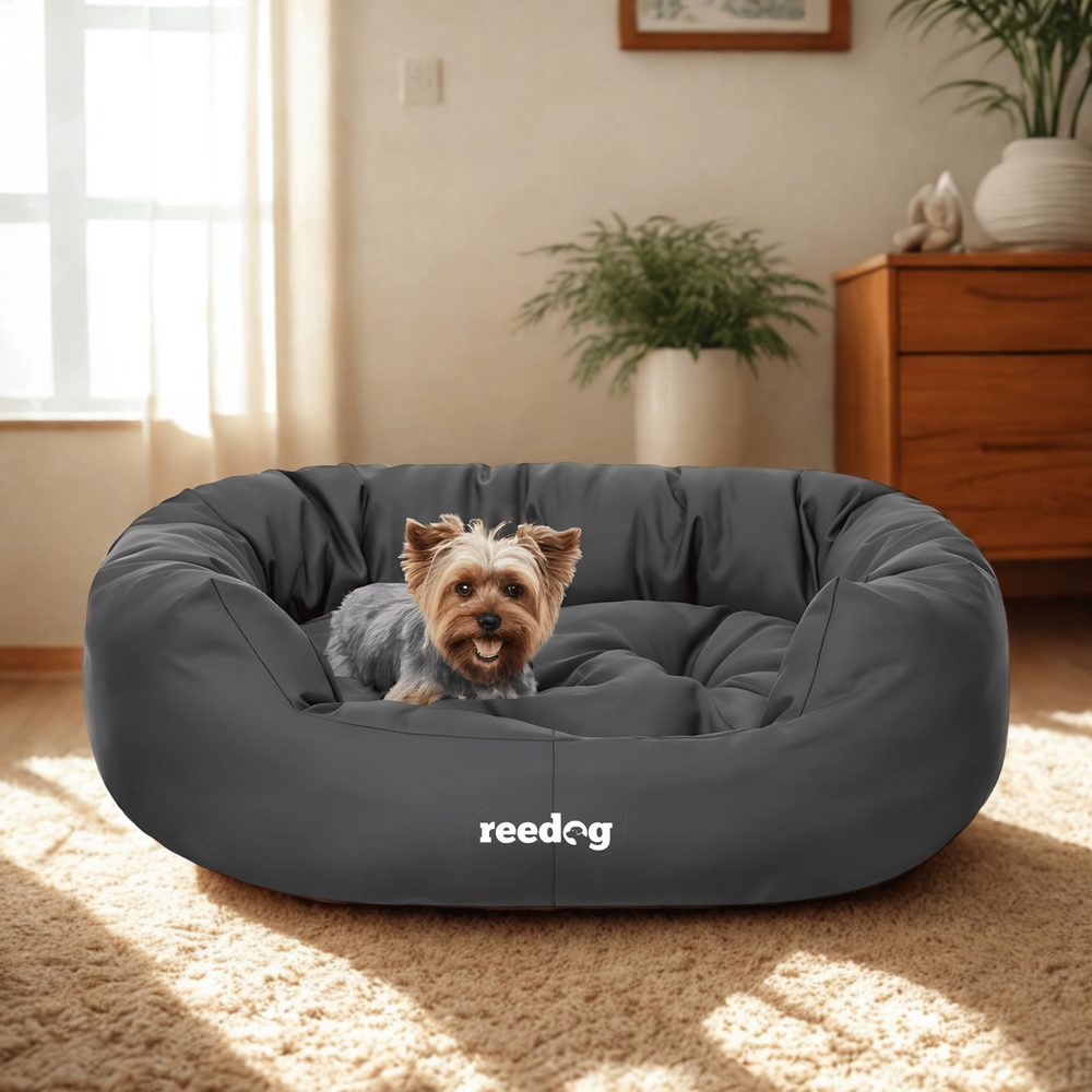 Reedog pelech Amazing Grafit | Pelech pre psa - XXL.
 
Kľúčové vlastnosti pelechu Reedog Amazing

Odnímateľná matrac – možno ju používať samostatne, ideálna na cesty a jednoduché čistenie.
Nepremokavý povrch – chráni pelech pred vlhkosťou, takže mokrý psík nenavlhčí vnútro.
Maximálna odolnosť – vyrobené z kvalitných materiálov, ktoré odolajú poškodeniu a zaručia dlhú životnosť.
Jednoduchá údržba – väčšinu nečistôt ľahko zotriete vlhkou handričkou s mydlom.
Ergonomický tvar – oválny dizajn podporuje prirodzenú spánkovú polohu a poskytuje pocit bezpečia.
Bezpečné materiály – certifikácia OEKO-TEX zaručuje, že pelech neobsahuje žiadne škodlivé látky.


 
Použité materiály

Oxford látka – pevná a nepremokavá tkanina použí