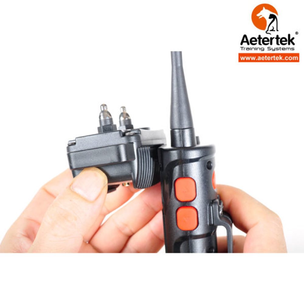 Aetertek AT-919C Erziehungshalsband - für 1 Hund.
  Aetertek AT-919C ist ein profesionelles elektronisches Halsband von Aetertek.
 

 
Reichweite
Aetertek AT-919C hilft Ihnen, Ihren Hund zu trainieren, ohne eine Leine in einer Entfernung von bis zu 1000 Metern zu verwenden.
