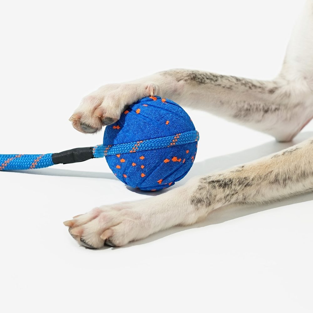 Cheerble Wicked Ball Air Rope | Hračky pro psy (zdjęcie 12)