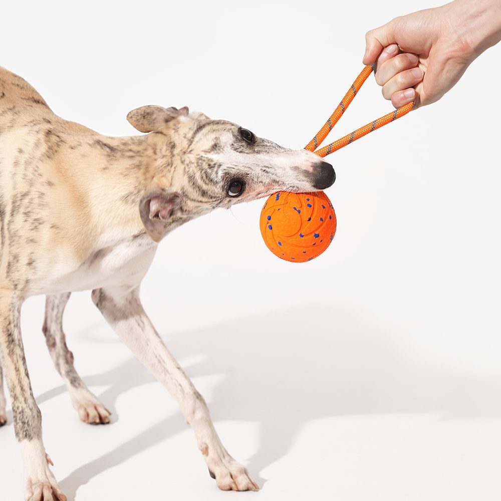 Cheerble Wicked Ball Air Rope | Hračky pro psy (zdjęcie 7)