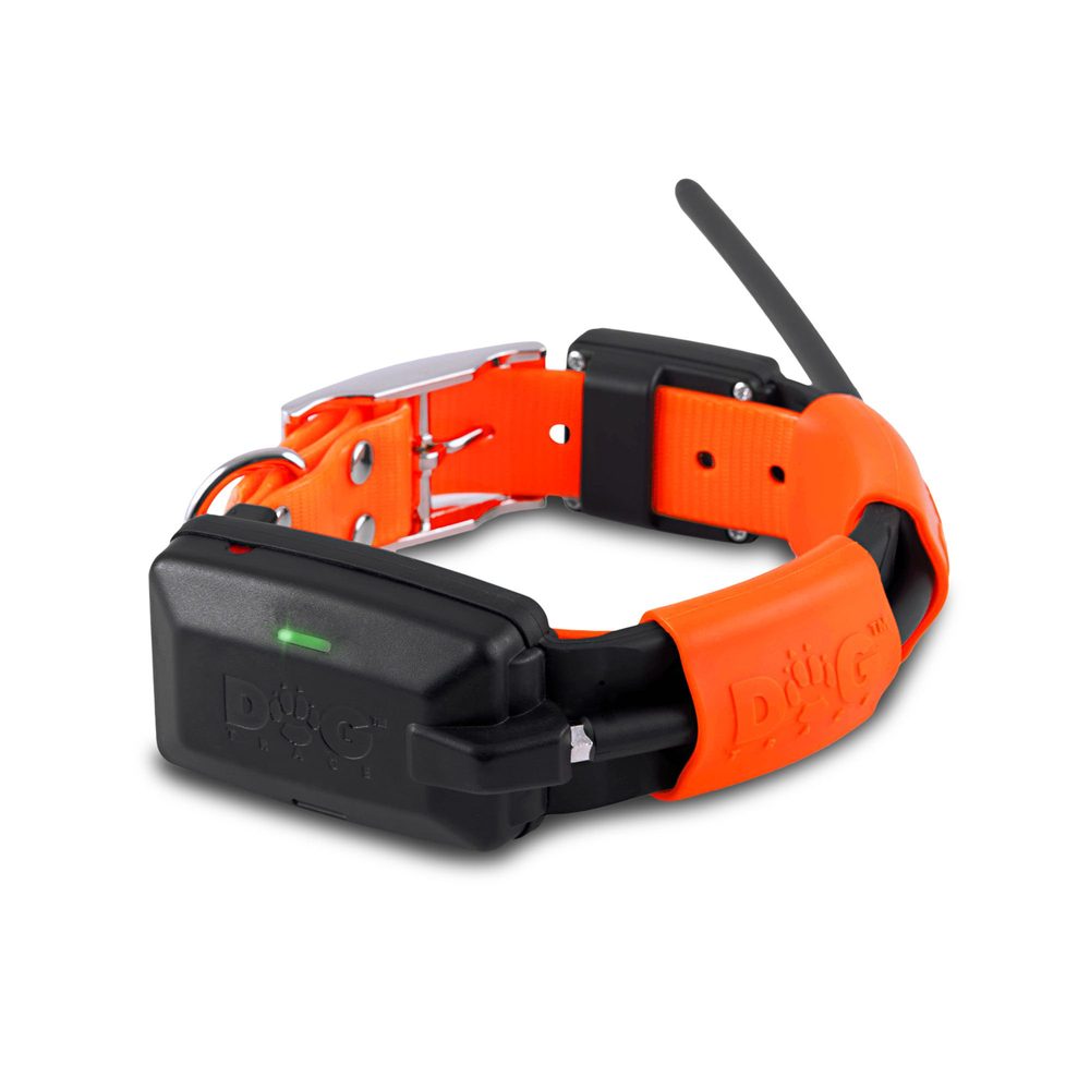 Obojek pro dalšího psa DOG GPS X25 - orange (zdjęcie 3)