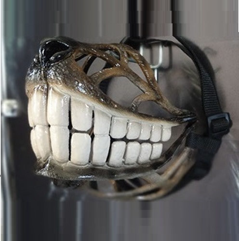 Náhubek pro psy Reedog design "Smile" - M