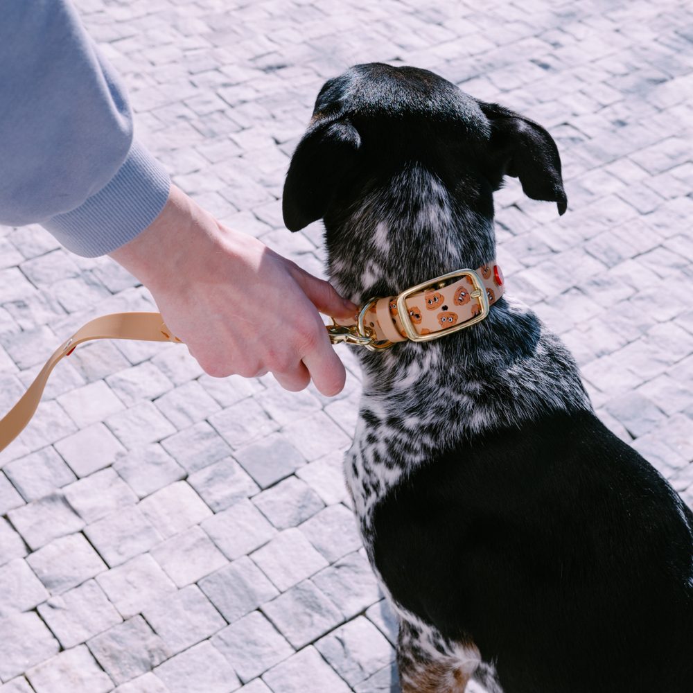 Reedog obroża Kupki | Obroża dla psów - M (zdjęcie 4)