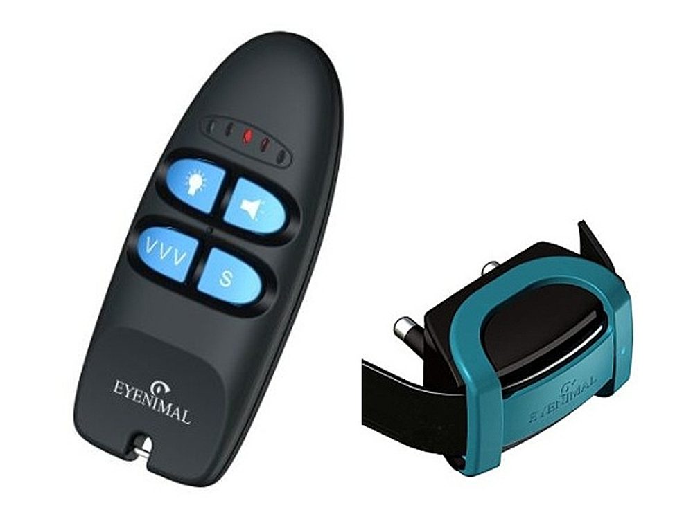 Eyenimal Training Pulse