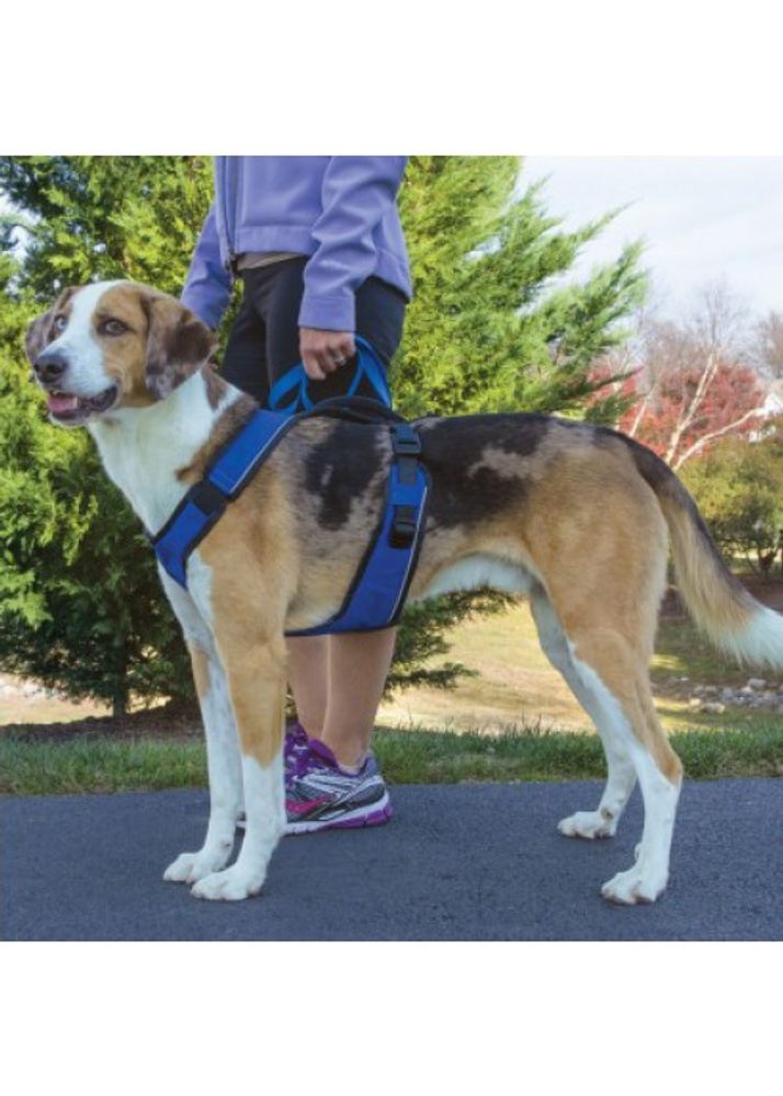PetSafe® EasySport™ | Szelki dla psa - Czerwony - S (zdjęcie 3)